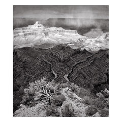 Storm Over Shoshone Point